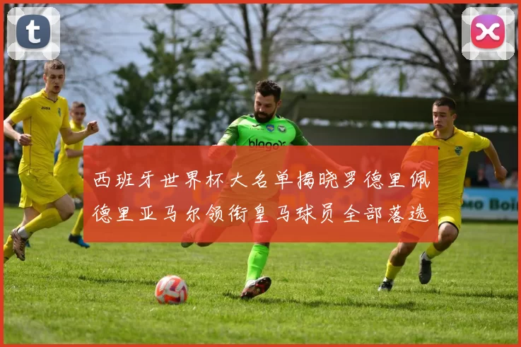 西班牙世界杯大名单揭晓罗德里佩德里亚马尔领衔皇马球员全部落选