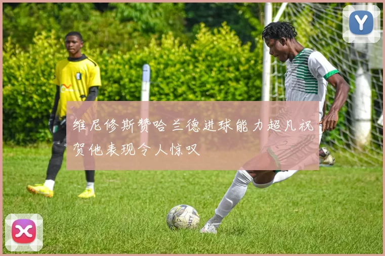 维尼修斯赞哈兰德进球能力超凡祝贺他表现令人惊叹