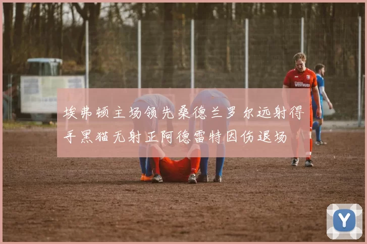 埃弗顿主场领先桑德兰罗尔远射得手黑猫无射正阿德雷特因伤退场