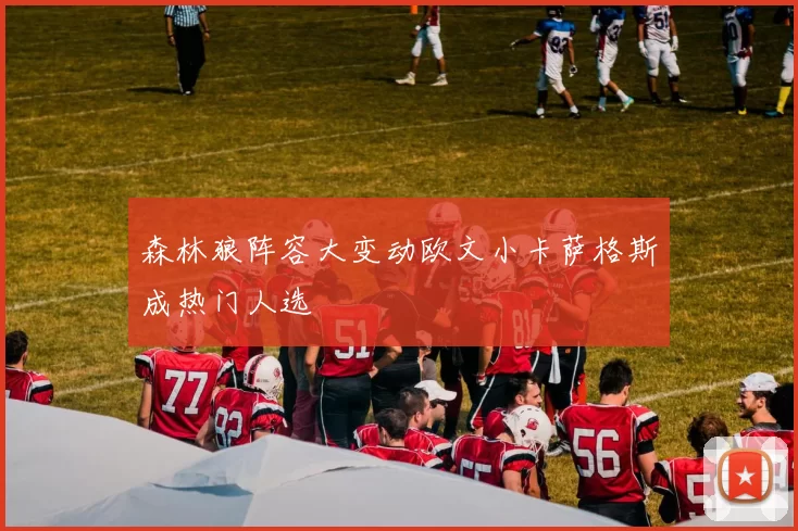 森林狼阵容大变动欧文小卡萨格斯成热门人选