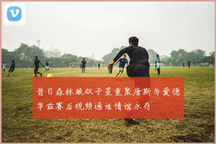 昔日森林狼双子星重聚唐斯与爱德华兹赛后视频通话情谊永存