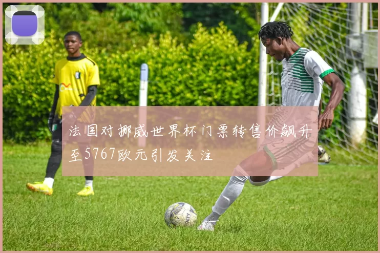 法国对挪威世界杯门票转售价飙升至5767欧元引发关注